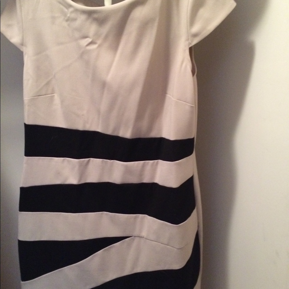 Women’s dress size 14
